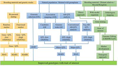 Enhancing the Nutritional Quality of Major Food Crops Through Conventional and Genomics-Assisted Breeding